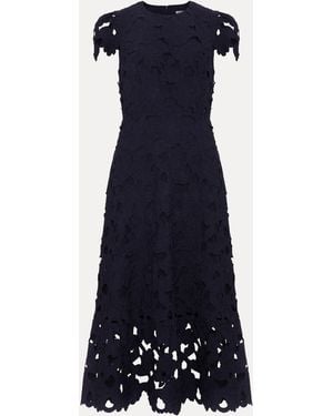 Phase Eight Petite Leilani Lace Dress - Blue
