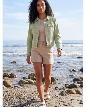 Roman Sage Classic Cotton Denim Jacket - Blue