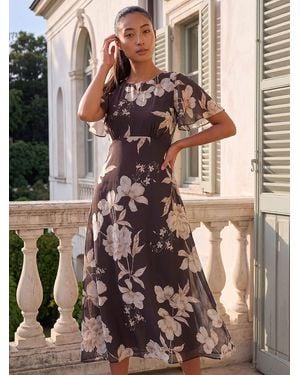 Roman Petite Chiffon Dress - Brown