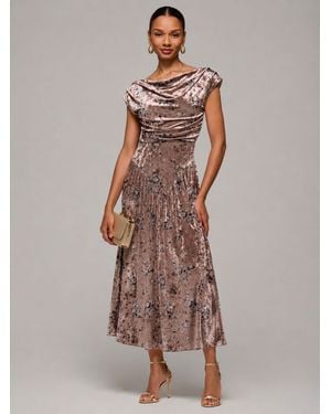 Jolie Moi Cowl Neck Velvet Midaxi Dress - Brown