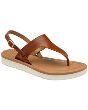 Ravel Leather Toe Post Sandals - Brown