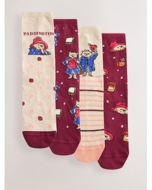 Next Paddington Bear Licensed Ankle Socks 4 Pack - Pink