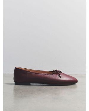 The Set Premium Leather Suede Bow Ballerinas - Multicolor