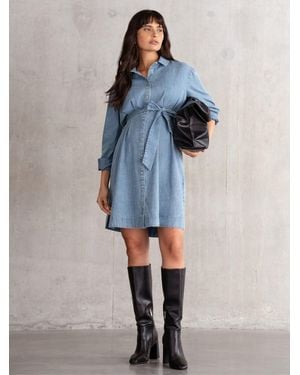 Seraphine Maternity Chambray 100% Cotton Dress - Blue