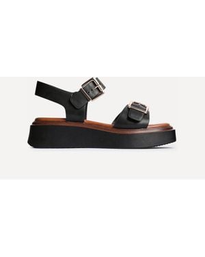 Linzi Preserve Flatform Sandals With Buckle Straps - Black