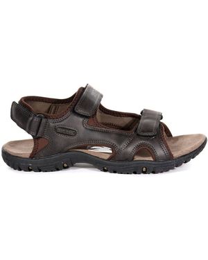 Regatta Dark Comfort Fit Haris Sandals - Brown