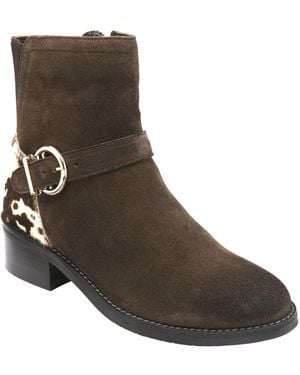 Lotus Suede Block Heel Ankle Boots - Brown