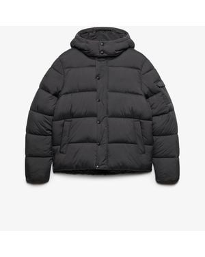 Superdry Premium Ripstop Puffer Jacket - Black