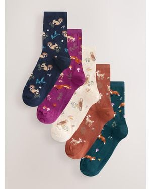Next Autumn Animals Print Ankle Socks 5 Pack - Pink