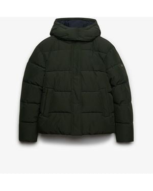 Superdry Premium Hood Puffer Jacket - Black