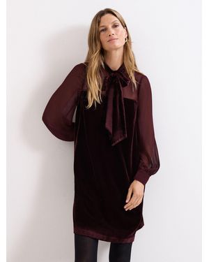 Phase Eight Vinnie Velvet Dress - Red