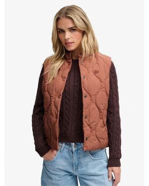 Superdry Onion Quilt Crinkle Snap Gilet - Brown