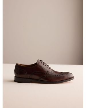 Next Signature Leather Sole Brogue Shoes - Brown