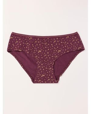 FatFace Burgundy Shooting Star Short Panties - Purple