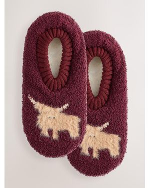 Next Berry Hamish The Highland Cow Footsie Slipper Socks 1 Pack - Purple