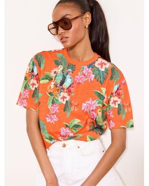 Lipsy Printed Tropical Artwork T-Shirt - Orange