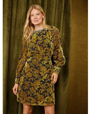Love & Roses Ochre Petite Devore Embellished Neck Mini Dress - Green
