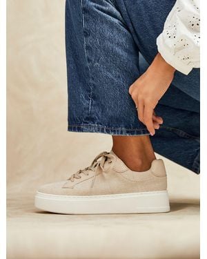 Linzi Jersey Lace Up Flatform Sneakers - Blue