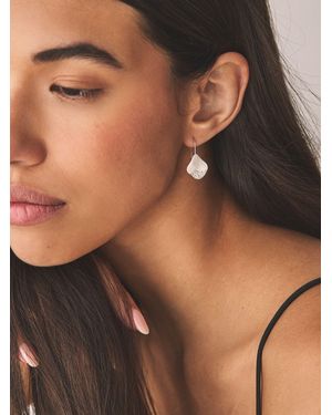 Next Organic Shape Pave Sparkle Earrings - Brown