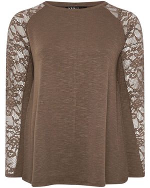 Yours Curve Raglan-T-Shirt Mit Spitzenbesatz - Braun