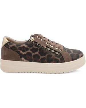 Pavers Wide Fit Knitted Zip & Lace Fasten Sneakers - Brown