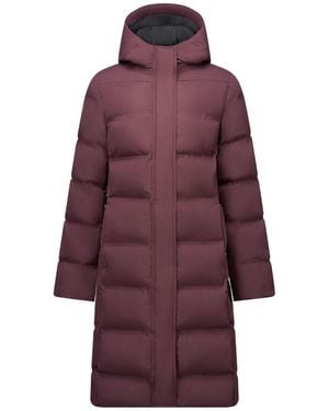 Dare 2b Wander Waterproof Jacket - Purple