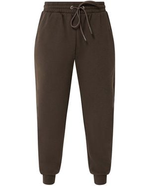 M Com Chocolate Petite Cuffed Sweatpants - Brown