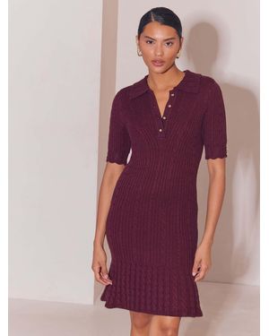Lipsy Burgundy Petite Knitted Polo Collar Mini Dress - Purple