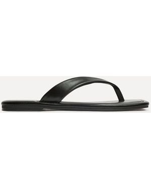 Linzi Element Toe Post Flat Sandals - Black
