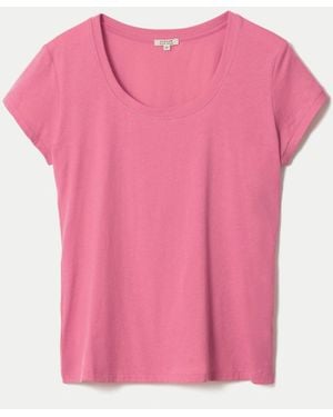 Jigsaw Supima Cotton Scoop Neck T-Shirt - Pink