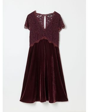 FatFace Fatface Thea Wine Velvet And Lace Dress - Purple
