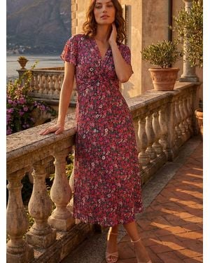 Roman Petite Floral Ditsy Dress - Brown