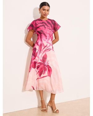 Lipsy Animal Fit And Flare Floral Short Sleeve Printed Chiffon Midi Dress - Pink