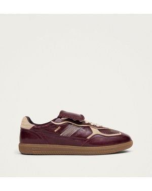 Alohas Tb.490 Club Patent Leather Sneakers - Brown