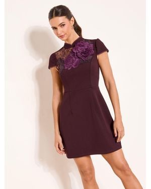 Lipsy Lace Flower Trim High Neck Mini Dress - Purple