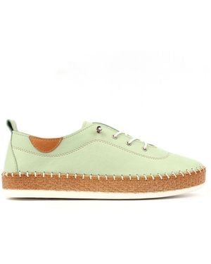 Lunar Evie Plimsoll-Schuhe - Grün