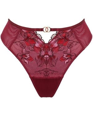 Pour Moi Rhea Luxe Embroidered Mesh Back Thong