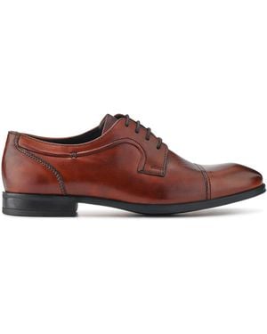 Pavers Gents Lace-Up Smart Leather Shoes - Braun