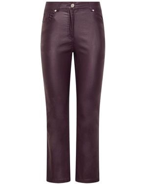 M Com Petite Coated Bootcut Jeans - Purple