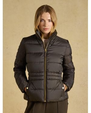 Joules Paddock Chocolate Showerproof Padded Coat - Brown