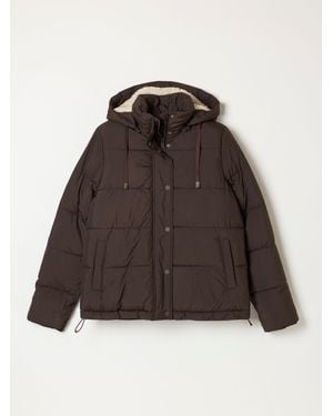 FatFace Fatface Carly Chocolate Petite Short Puffer Jacket - Brown
