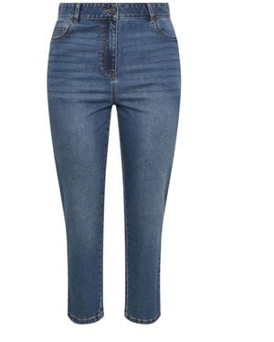 Evans Straight Leg Denim Jeans - Blue