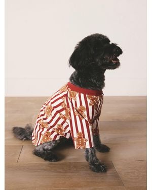 Next Gingerbread Matching Family Christmas Cozy Pet Pajamas - Red