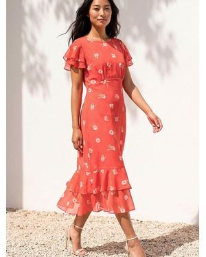 Roman Petite Floral Frill Tiered Midi Dress