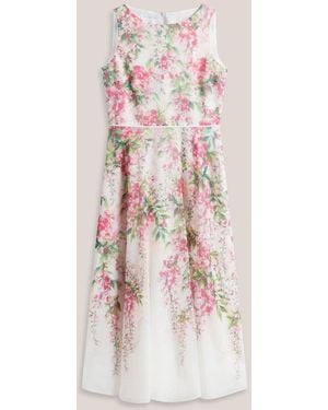 Hobbs Ivory Multi Petite Carly Floral Dress - Pink