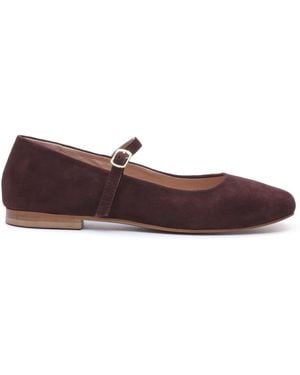 Hush Puppies Pasha Suede Ballerinas - Brown