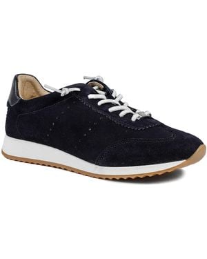 Jones Bootmaker Jones Bootmaker Alenya Suede Leather Lace Up Sneakers - Blue