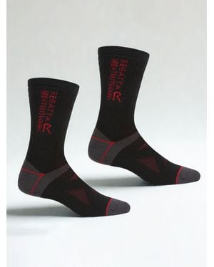 Regatta Wool Hiker Socks Pack - Black