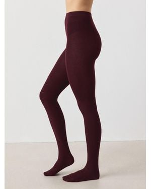 Next Burgundy Thermal 100D Tights - Purple