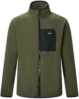 Regatta Frankie Full Zip Fleece - Green